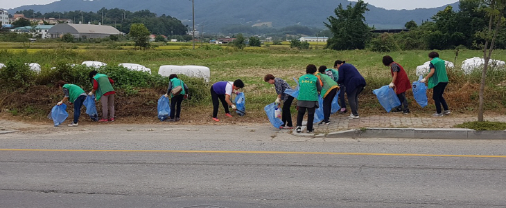 삼성면 국토대청결운동 사진