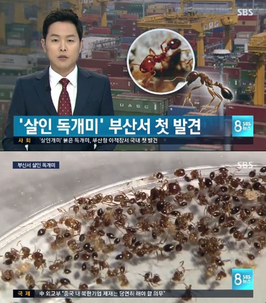 201212231108778763_50d668a0c106c_59_20121223111509-vert-vert