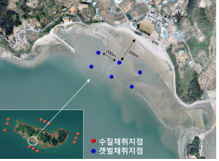 자월도