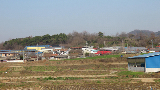 4.신금성전경(결성에서본)650