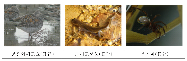 멸정 위기종