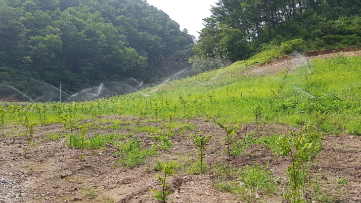 울진군, 소득 작목 관수시설 지원 신청 접수