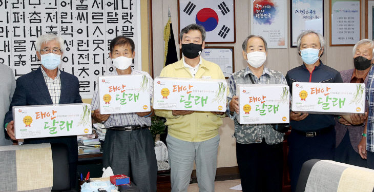 디자인달래 이미지