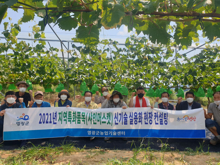 샤인컨설팅 이미지