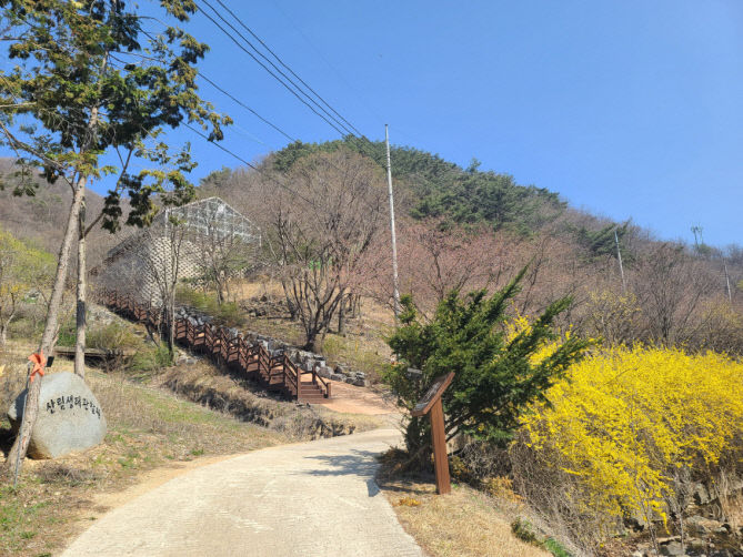 금봉자연휴양림 이미지