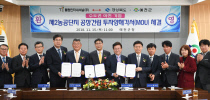 라인인터내셔날주 이미지