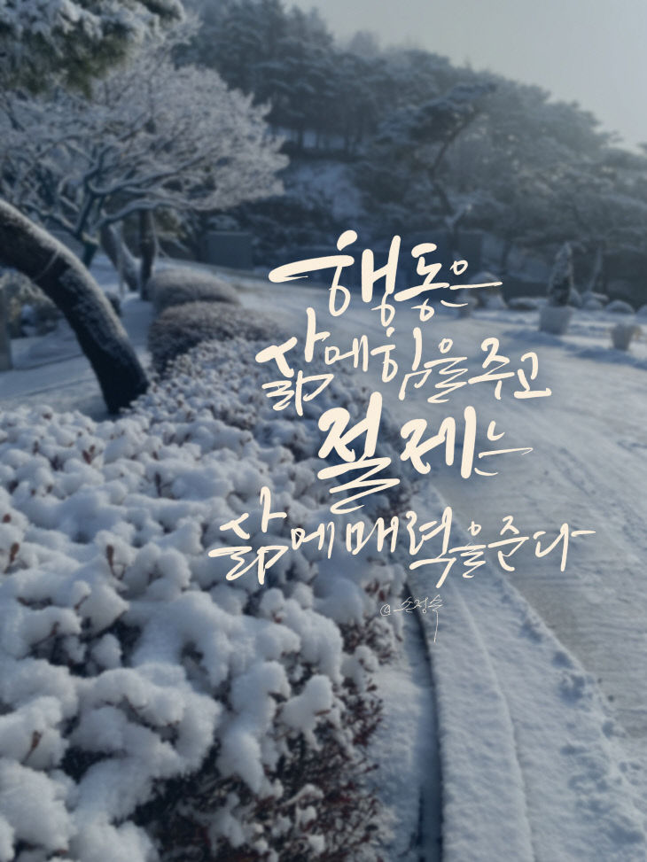 캘리 이미지