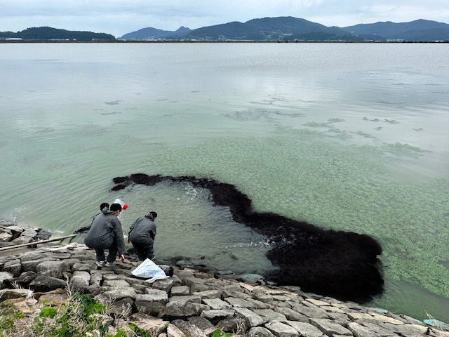 중도일보 - 한국농어촌公 장흥지사, 수동저수지 수질오염 사고대비 통합방제훈련