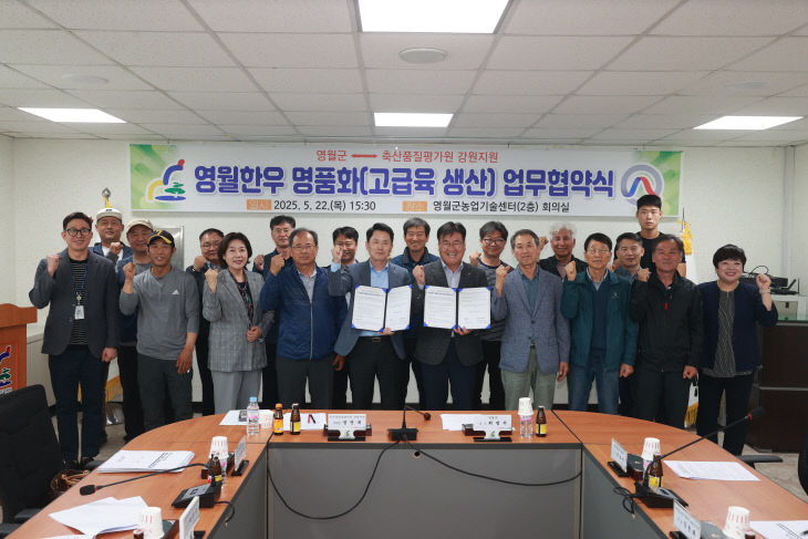 대표 이미지