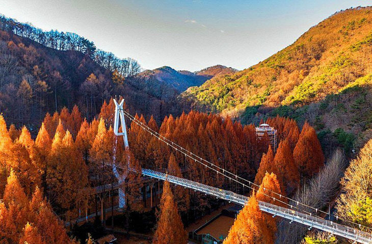 <b>단풍</b>따라 대전 한 바퀴... <b>단풍</b> 명소는 어디